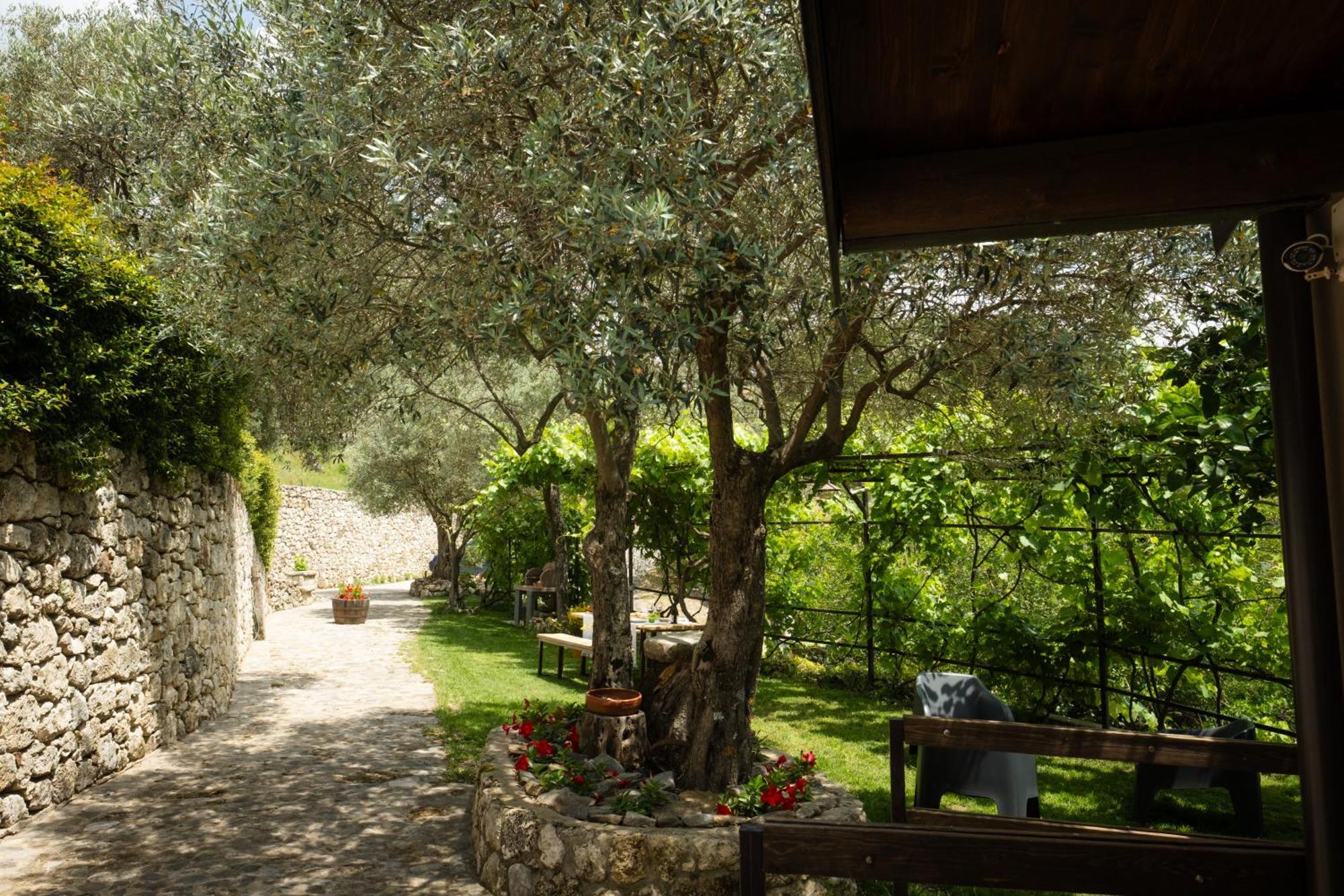 Hotel Locanda Degli Ulivi Mammola Exterior foto